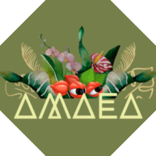 A.M.A.E.A.: Association pour le Maintien de l'Agro Ecologie Amazonienne